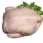 article-new_ehow_images_a07_fa_rl_tips-raising-broiler-chickens-800x800